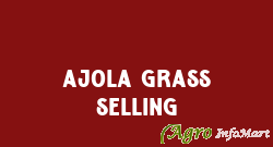 Ajola Grass Selling