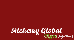 Alchemy Global chennai india