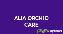 Alia Orchid Care
