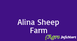 Alina Sheep Farm