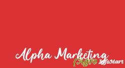 Alpha Marketing nagpur india