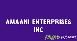 Amaani Enterprises Inc