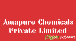 Amapure Chemicals Private Limited delhi india