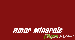 Amar Minerals rajkot india