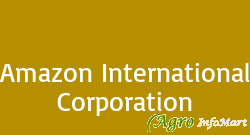 Amazon International Corporation