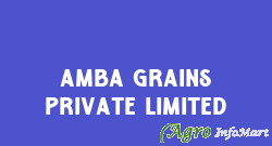 Amba Grains Private Limited karnal india