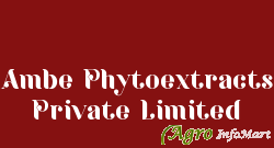 Ambe Phytoextracts Private Limited delhi india