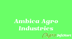 Ambica Agro Industries rajkot india