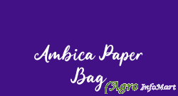 Ambica Paper Bag vadodara india