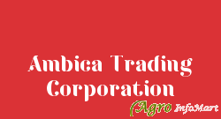 Ambica Trading Corporation ahmedabad india