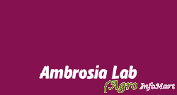 Ambrosia Lab navsari india
