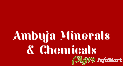 Ambuja Minerals & Chemicals ankleshwar india