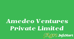 Amedeo Ventures Private Limited