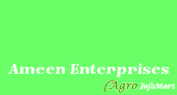 Ameen Enterprises