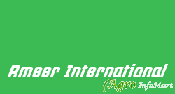 Ameer International
