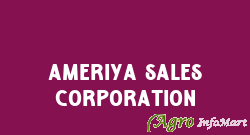 Ameriya Sales Corporation