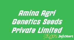 Amina Agri Genetics Seeds Private Limited hyderabad india