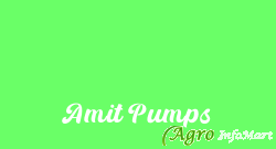 Amit Pumps