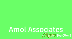 Amol Associates