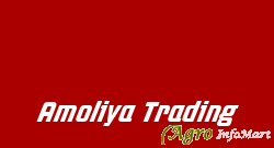 Amoliya Trading indore india