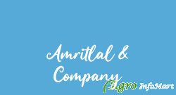 Amritlal & Company