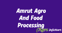 Amrut Agro And Food Processing rajkot india