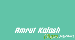 Amrut Kalash