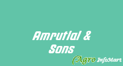 Amrutlal & Sons