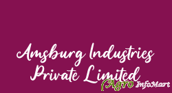 Amsburg Industries Private Limited