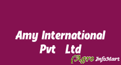 Amy International Pvt. Ltd. delhi india