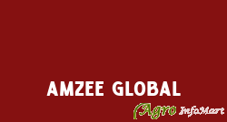 Amzee Global