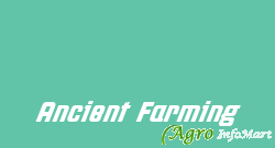 Ancient Farming bangalore india