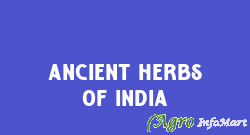 Ancient Herbs Of India