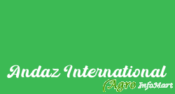 Andaz International delhi india