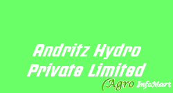 Andritz Hydro Private Limited bangalore india