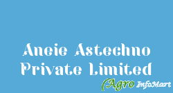 Aneie Astechno Private Limited panipat india