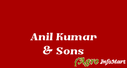 Anil Kumar & Sons