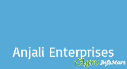Anjali Enterprises delhi india
