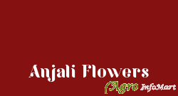 Anjali Flowers bangalore india