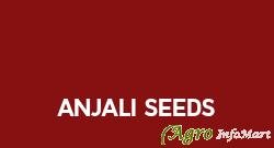 Anjali Seeds ongole india
