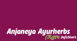 Anjaneya Ayurherbs