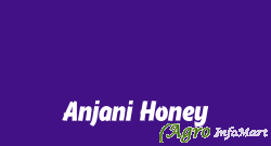 Anjani Honey