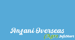 Anjani Overseas delhi india