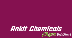 Ankit Chemicals vadodara india
