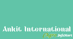 Ankit International jaipur india
