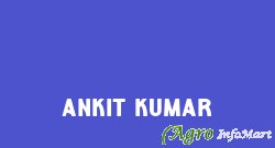 Ankit Kumar lucknow india