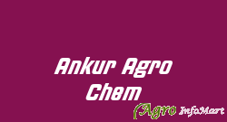 Ankur Agro Chem vapi india