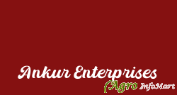 Ankur Enterprises ahmedabad india