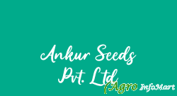 Ankur Seeds Pvt. Ltd ahmedabad india