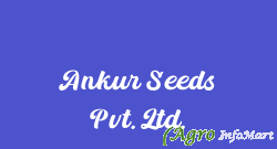 Ankur Seeds Pvt. Ltd. jaipur india